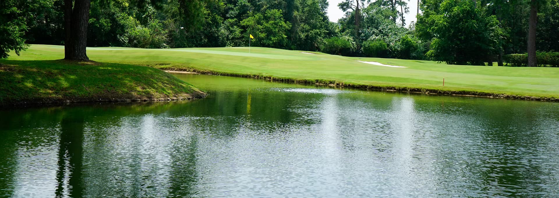 HomePage Header Champions.avif